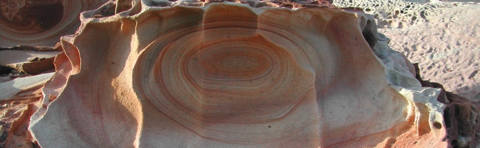 About Friends of Malabar Headland | Friends of Malabar Headland