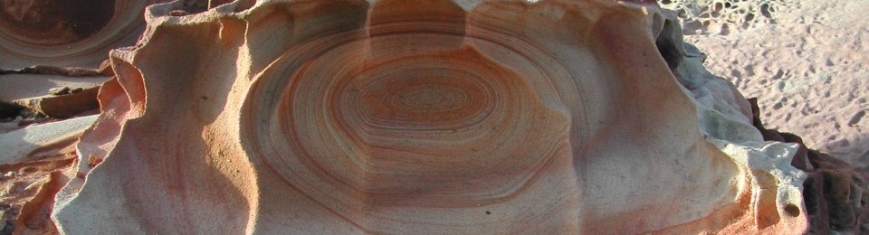 Weathered sandstone south coast Malabar Headland (detail)