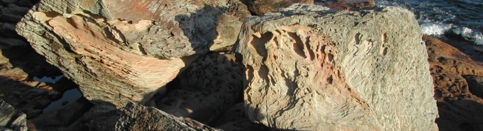 Weathered sandstone rocks Malabar Headland southshoreline