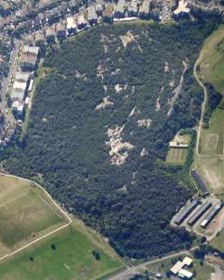 Western Bushland – vertical air photo, courtesy of NearMap