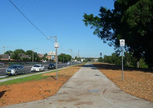 Same viewpoint, Monday 11 January 2016. Trees pulped and chips spread on ground,  Of 50 trees marked for destruction, only the two Hills Weeping Figs on the right remain (for now) because they were further set back from the road.  &copy; Claire Bettington