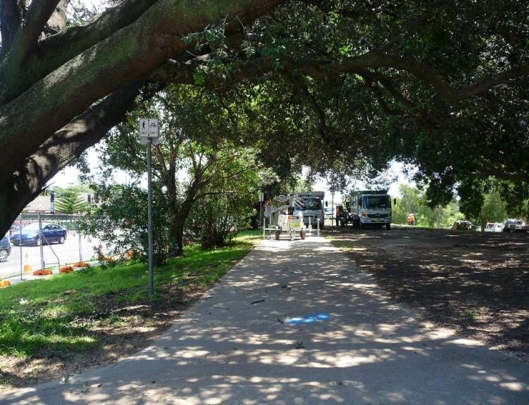 The shady bike path along the Alison Road boundary of Centennial Park, taken from corner of Alison and Darley Roads, Friday 8th January 2016. &copy; Claire Bettington
